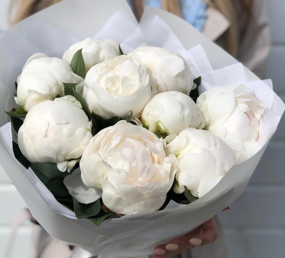 Букет из 9 пионов